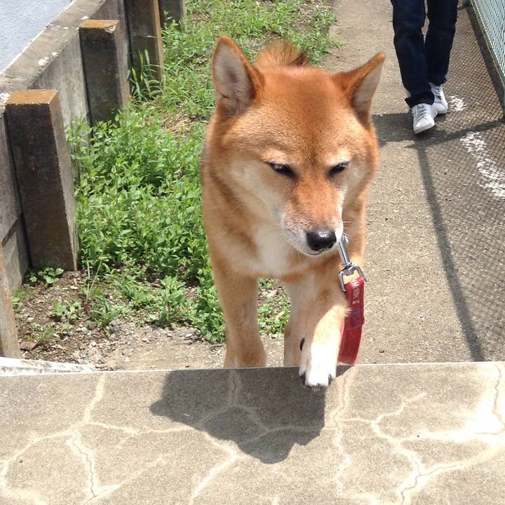 8fd884de 6a2e 4485 89ed e137c93c43d7