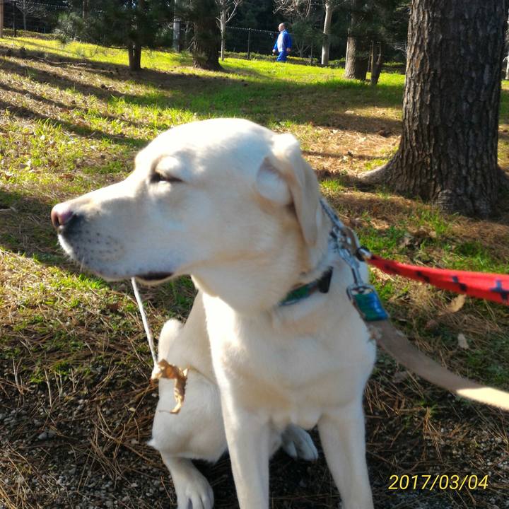 8fd888f5 5e28 4580 9d22 ac30389d299e