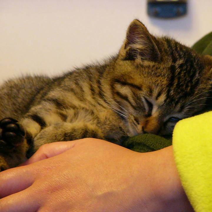 8fd8dab2 1403 410a 90d3 fc4002010537