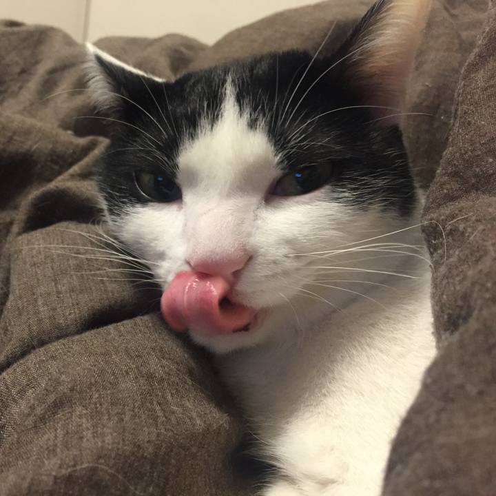 8fd8ed82 2cd6 441a b5b7 88390eabdaf8