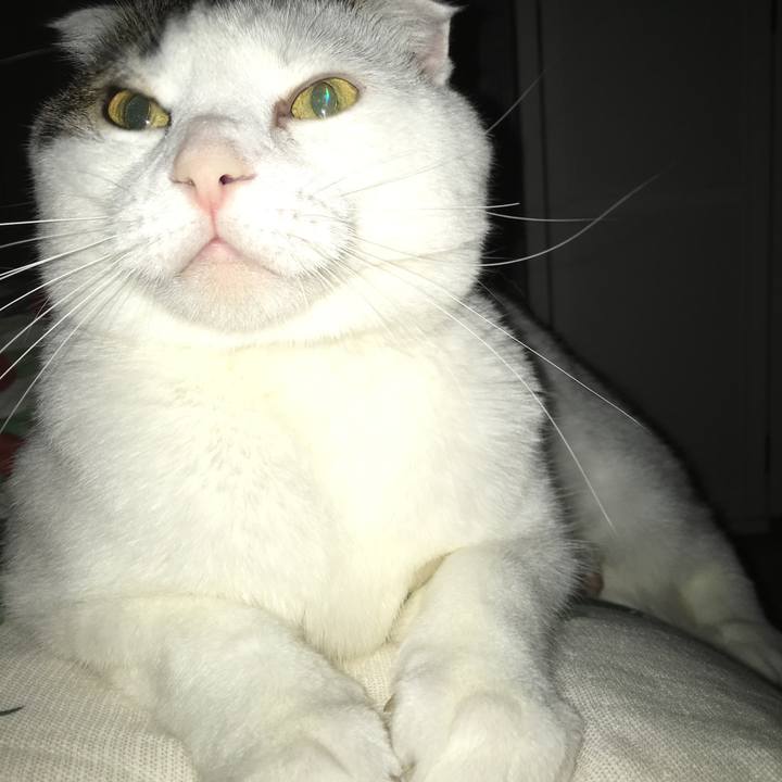 8fd937fd e476 437d 82b9 cbf7c5aeeffa