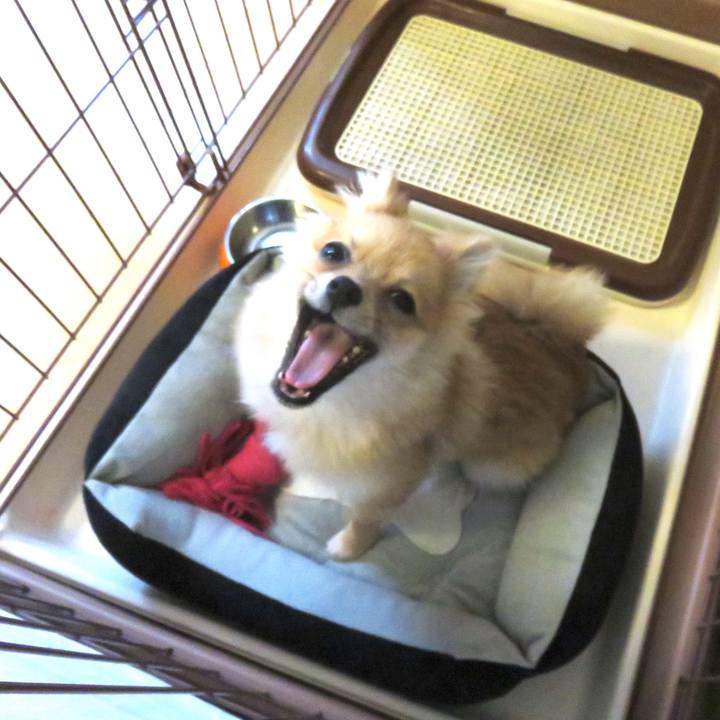 8fd977ea 0961 489c aa97 debec9e3f407