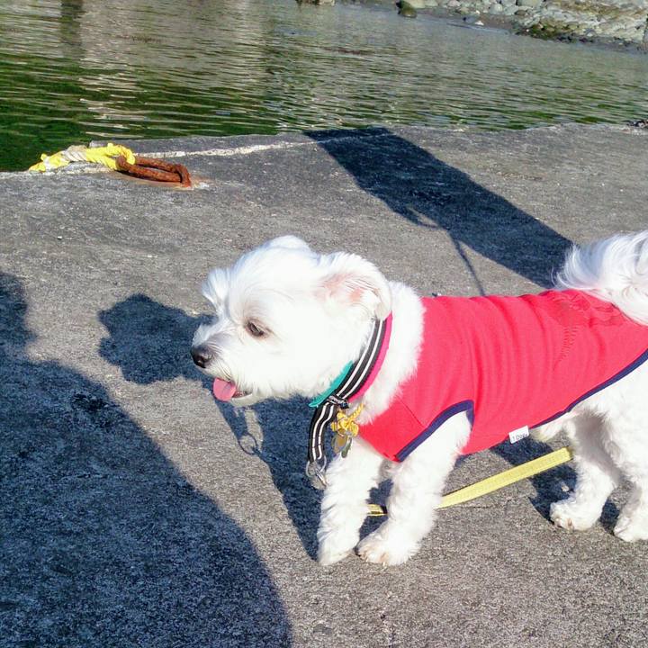 8fd9eceb ad11 4bad 92bd 5d63cdf862b8