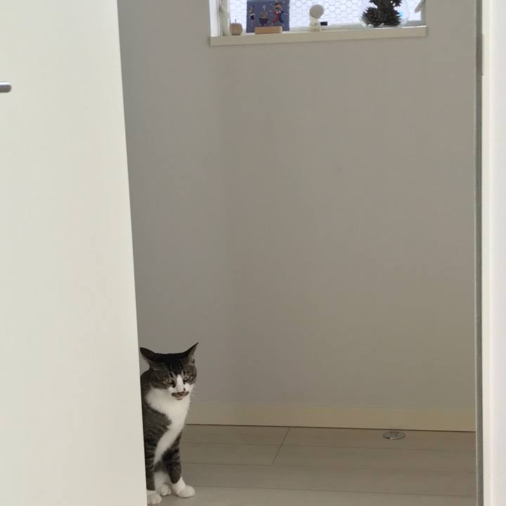 8fd9ed1d fd00 4284 9267 81c745c2a3dc