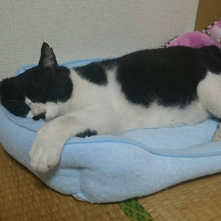 8fda1bd1 0faa 4ceb aa6d 440ef737b82b