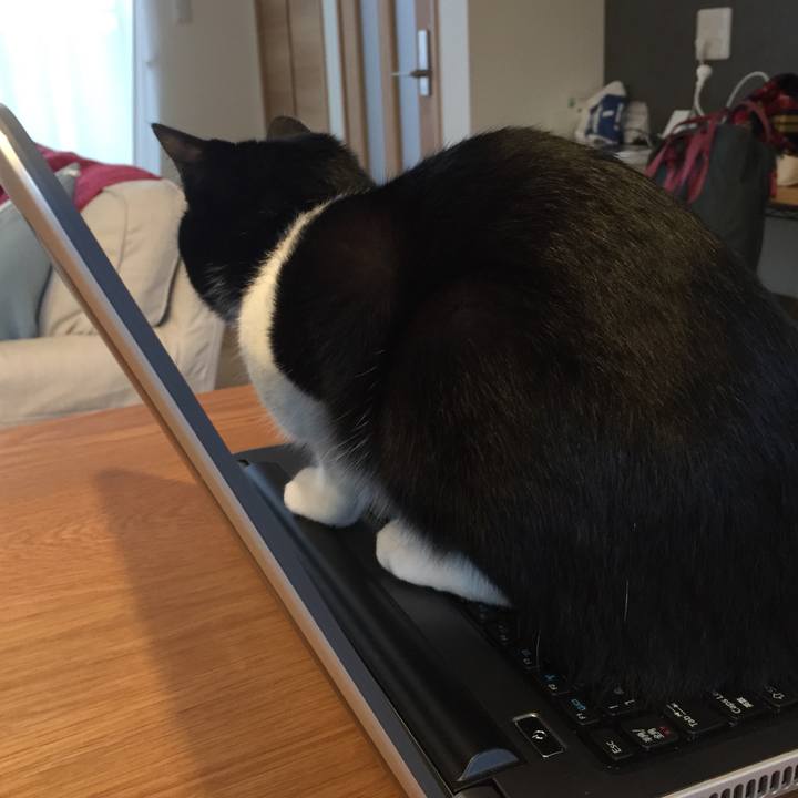 8fdabf28 e420 4e3b 9ee6 e49c7871969f