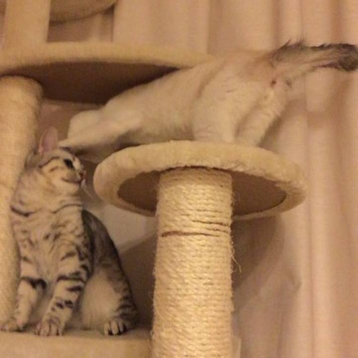 8fdadfa1 35da 4c4e b6b3 9970d86d3e7e