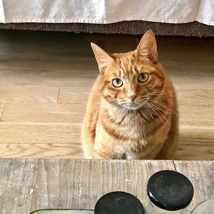 8fdc19bf cdbf 4b65 9c75 9fcced5bae79