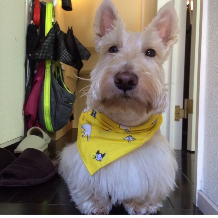 8fdc78f7 981b 484f aa14 4d4f2f43ef21