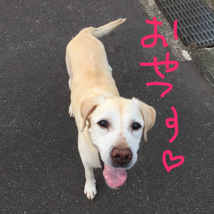 8fdcef25 09b4 4f52 b783 2e97df5bbe8b