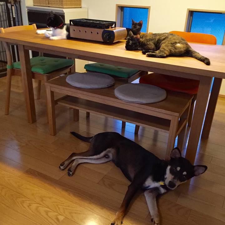 8fdd5098 bb53 4637 843e d1eeb6564086