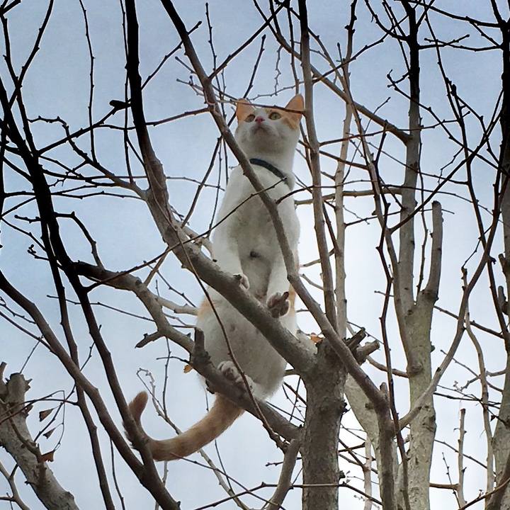 8fdd7277 c8f8 4e12 8196 ae97f3d1a1d6