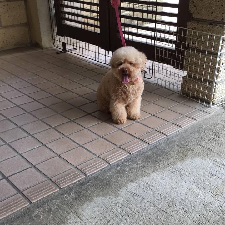 8fde082c 7e8f 4d58 bad3 373b0138307e