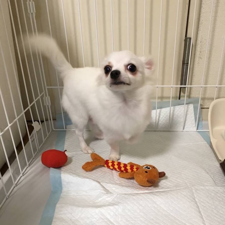 8fdf5e15 2d25 48f1 ba5d 195e3dfa14c6