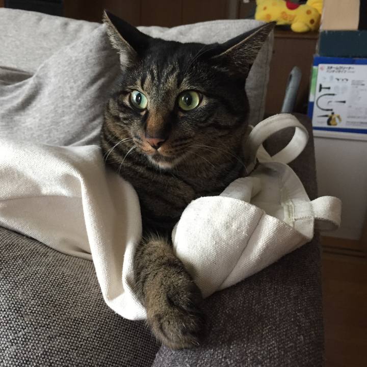 8fdf8413 a8a7 4266 a8f1 5b91430e1528