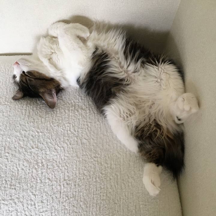 8fdfa389 f753 437c 8b8d 1656c85096c2