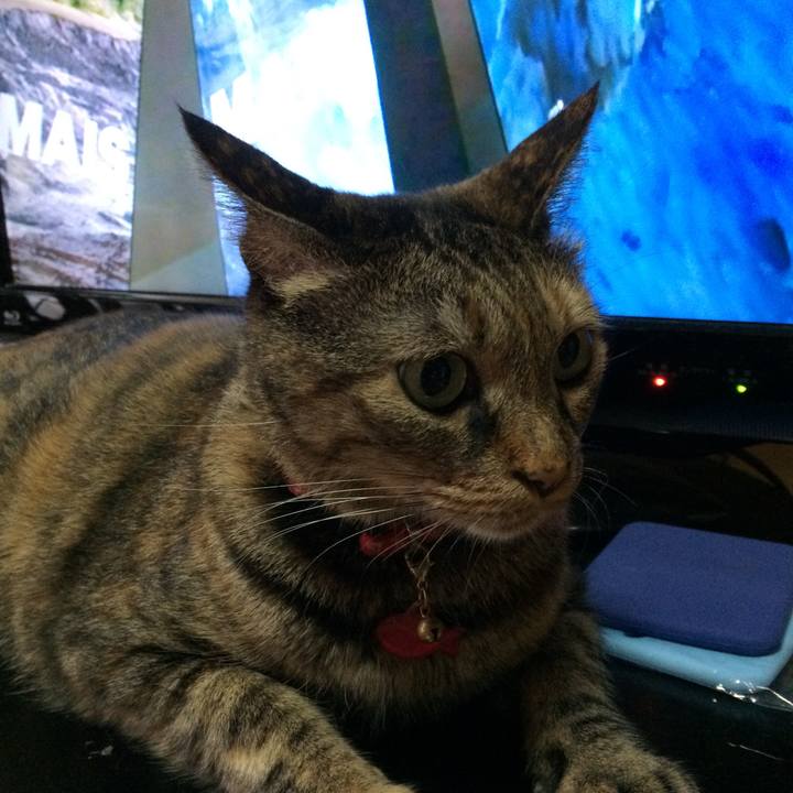 8fe024b5 41c5 4a74 a132 70754427361a