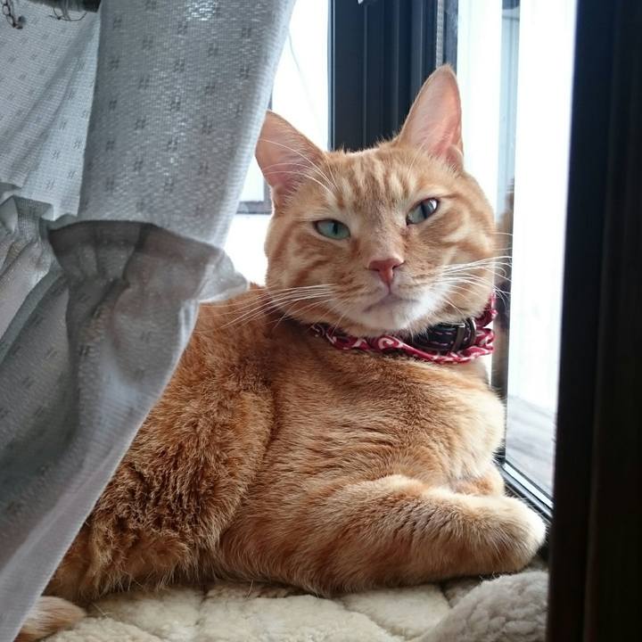 8fe0ffc4 01f1 4c92 947d bf172dffa0c2