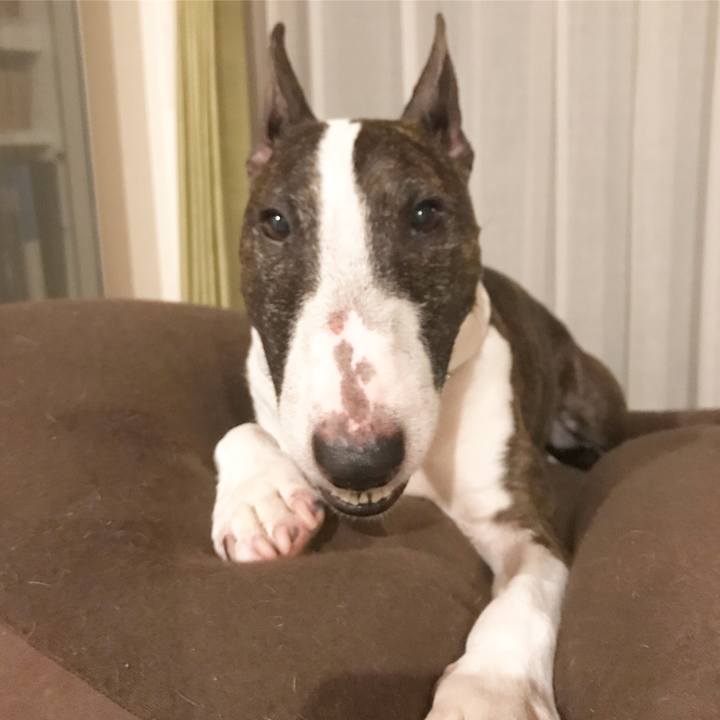 8fe173d0 258b 4166 b019 95d77a7523f3