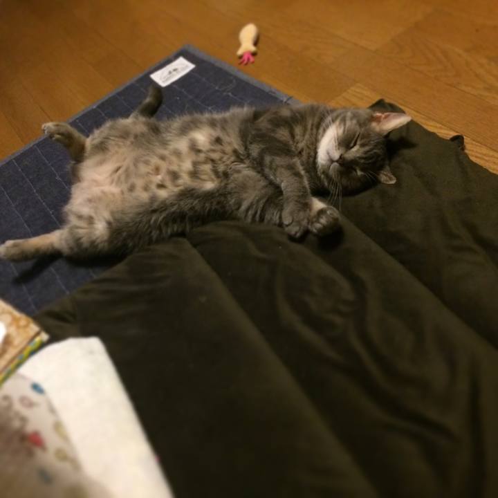 8fe1a575 84df 4041 944d 4abdba7d194c