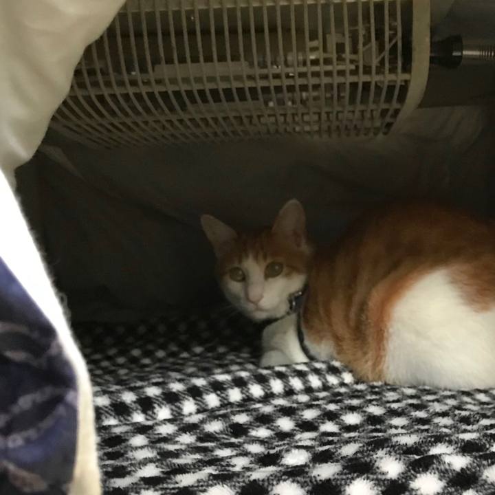 8fe1b242 8fb9 4511 ba7f 7c1578c6229b