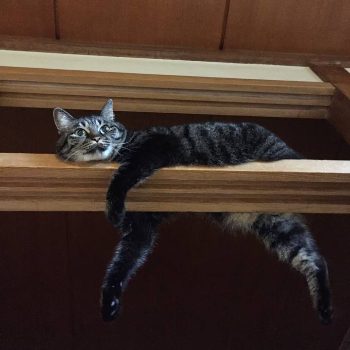 8fe34d0a ac9b 490c 98db e5bd0f659217