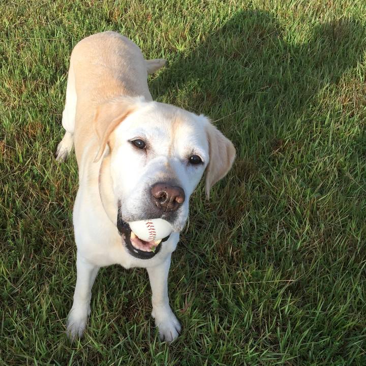 8fe4651e 628e 4a3e 8c03 7102c2e96773