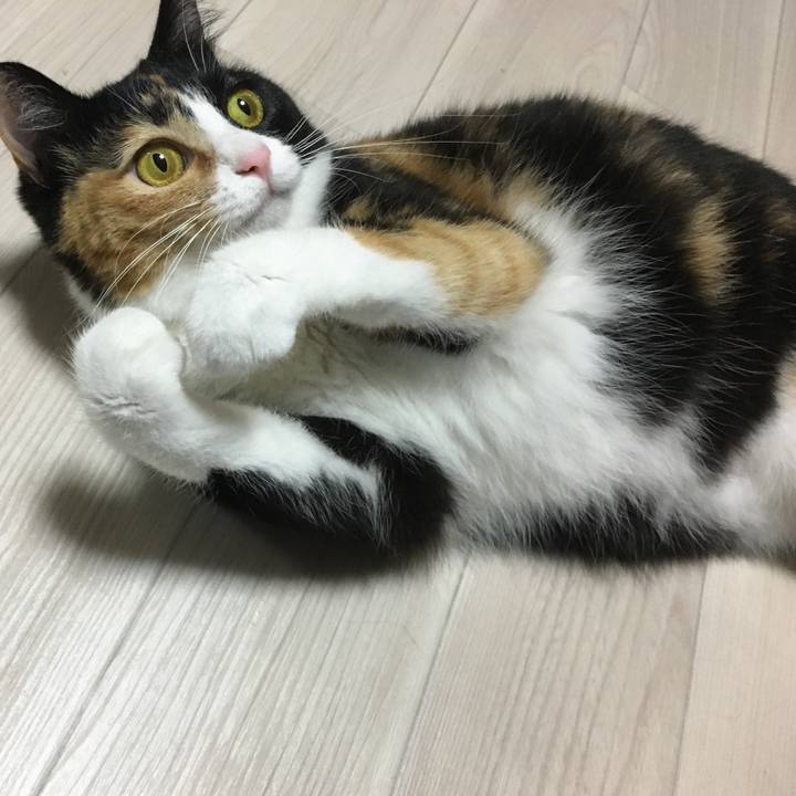 8fe4a7a1 3e5c 4a00 b899 9fb2e6da8300