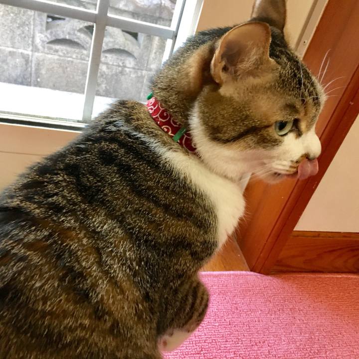 8fe5587b a0e6 4920 ac64 92c163d0d2c5