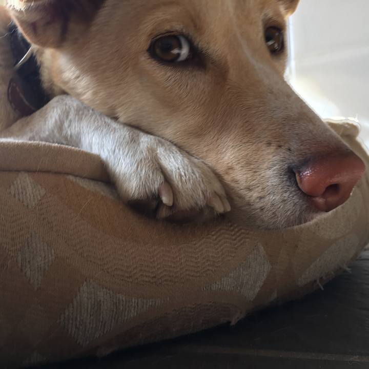 8fe5648f ad48 4bcd aafa c8c56a7a4331