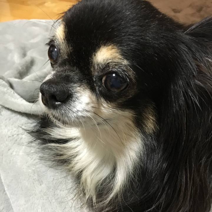 8fe56da4 7a12 4980 9ccd 442520c1b79a