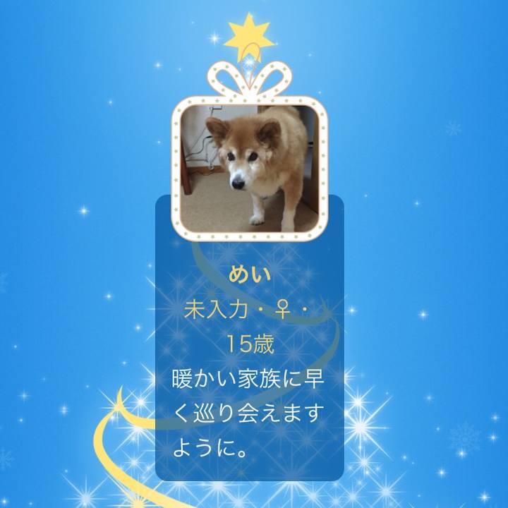 8fe57372 5596 49f1 9c08 79af4f5b230d