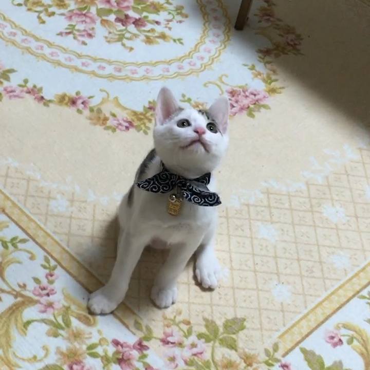 8fe59de9 7e6f 4ff7 83af 4ce36029ef7f