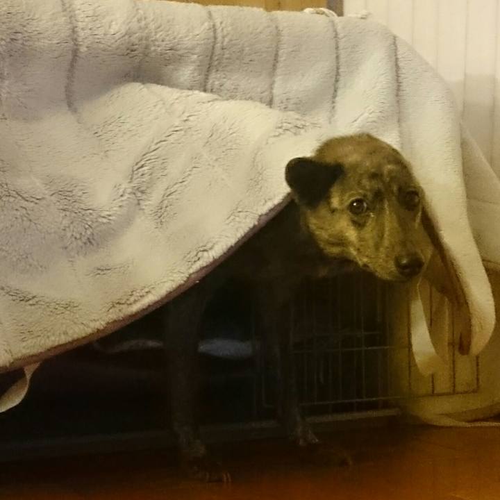 8fe5ca55 d350 4ca5 a3f0 b6d3a41471cb