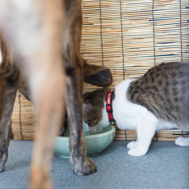 8fe5cdb5 500b 44fa b094 b54a5d849794