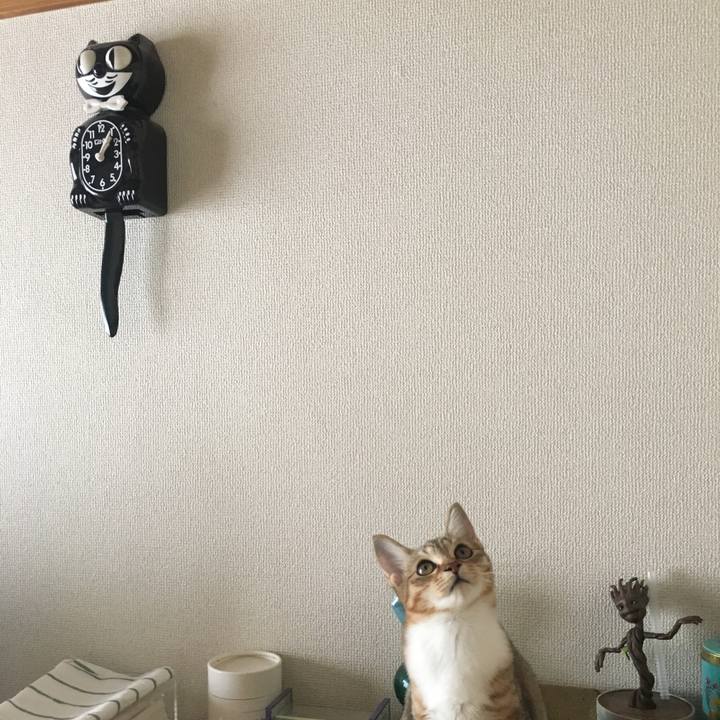 8fe5e37f 4136 490e 819e a21ef4f8f4a9