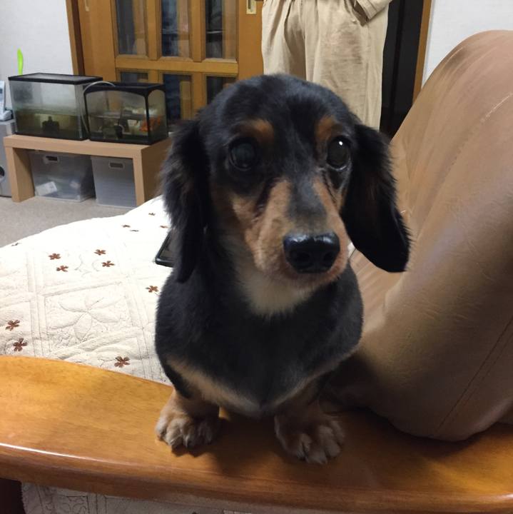 8fe5e886 620a 4df5 86a6 4825fc4a08f2