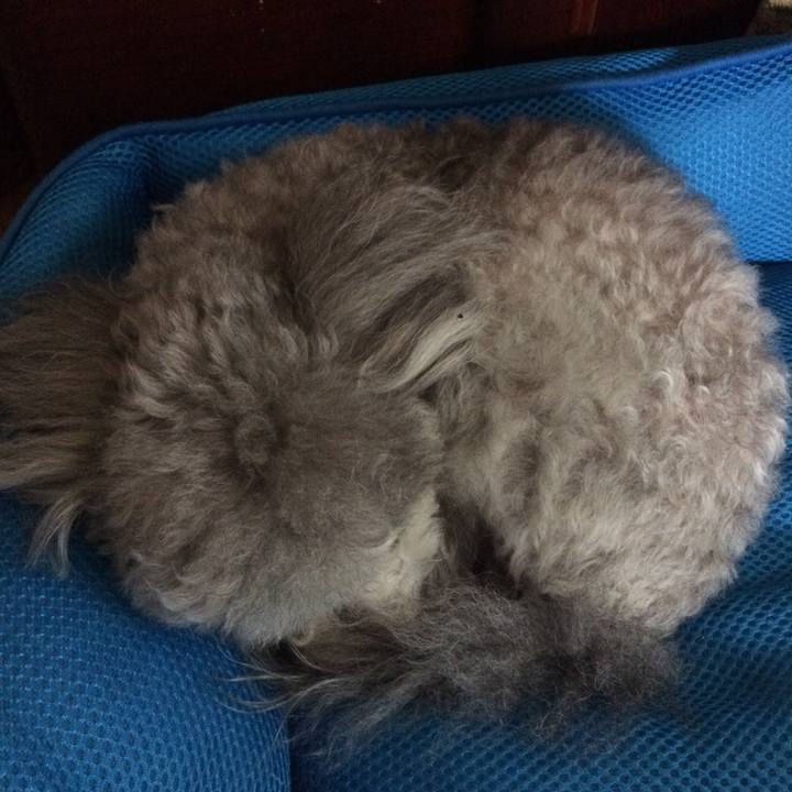 8fe6ccf5 752a 4404 a294 ed7699365af4