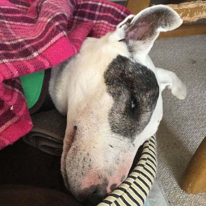 8fe6d3a8 6bae 409e 9c48 0952a810bcfa