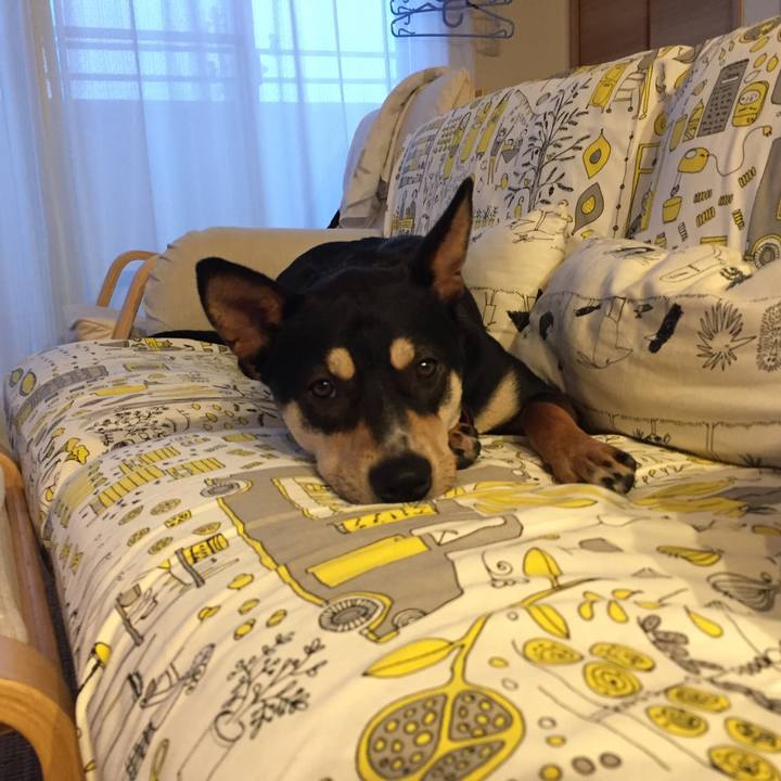 8fe81182 58ed 444e 828e 2972ccc36601