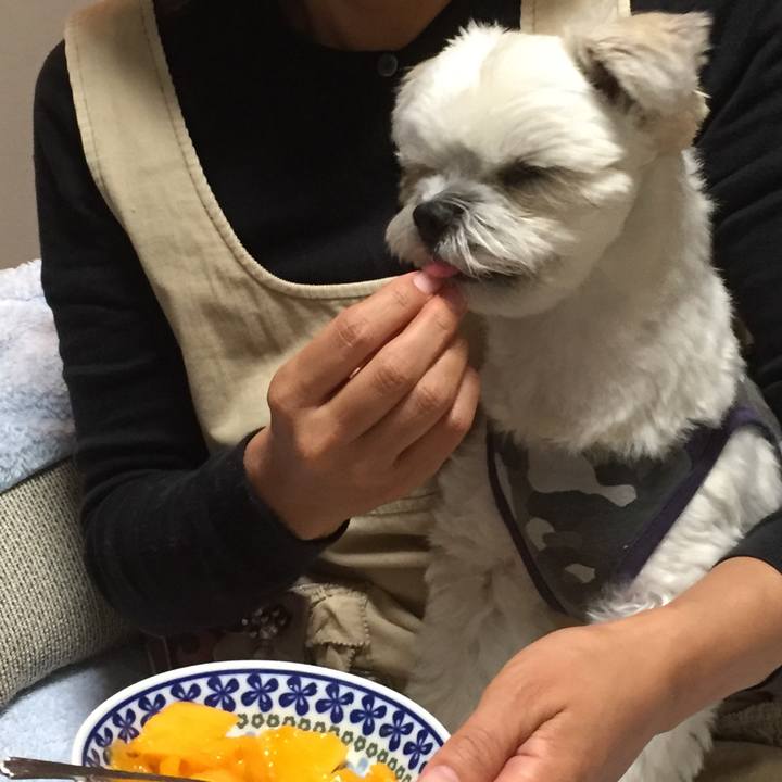 8fe84c0e 198a 4505 b265 4f3a24bde7b9