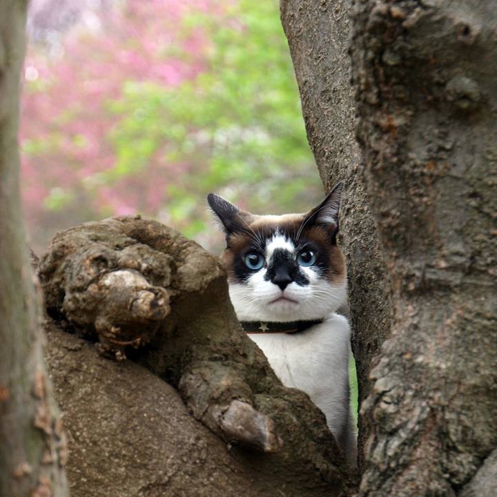 8fe8bff0 2051 4cae adab 5a255e1a6e20