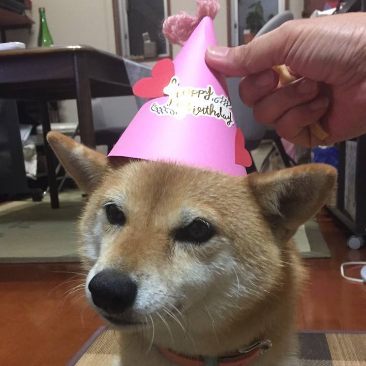 8fe9a062 7306 4224 a7e4 5cad15302b82