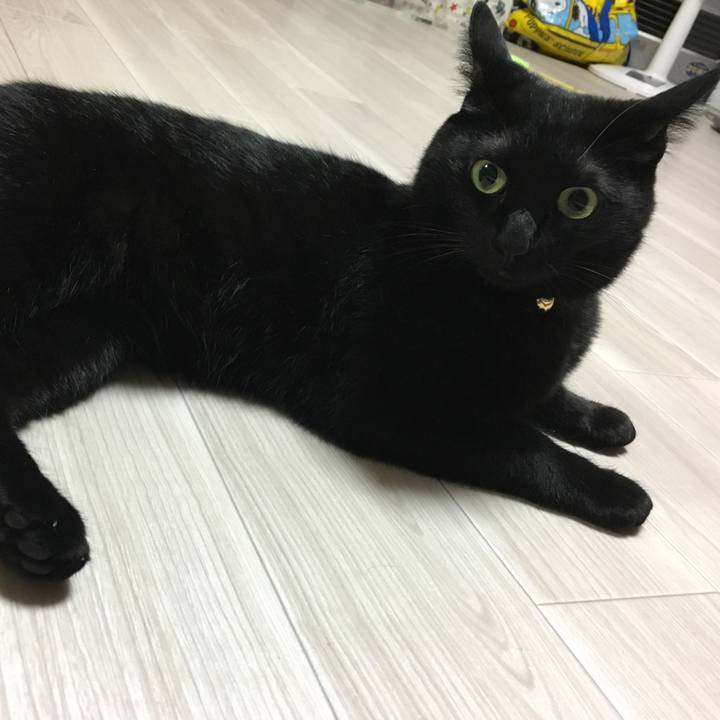 8fe9a1ac 9087 4386 b0ab df53b8836583