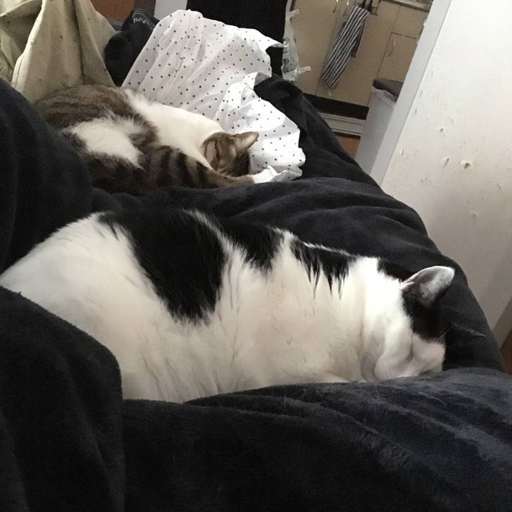 8fe9b504 dfa1 413f 9df7 65098c421cc0