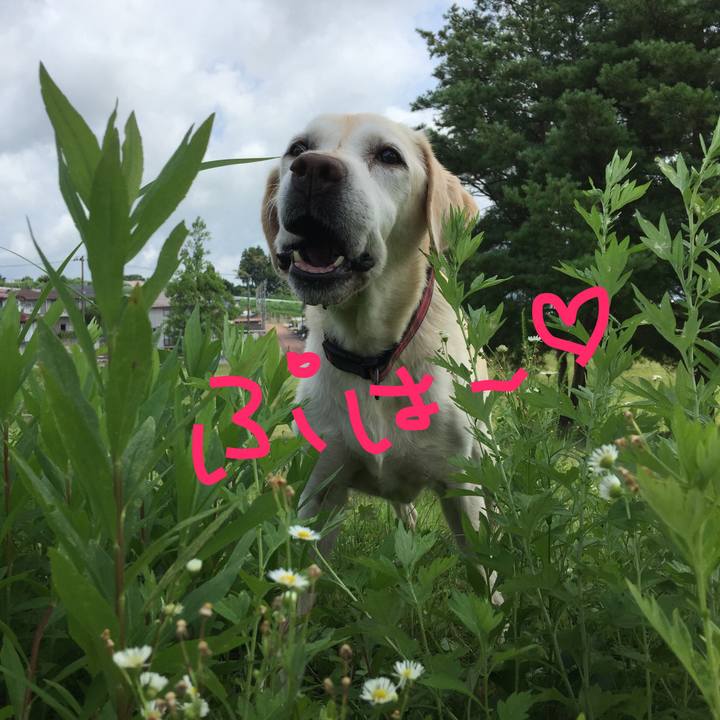 8fe9e559 8ec8 4025 8cf3 59ff7819a449