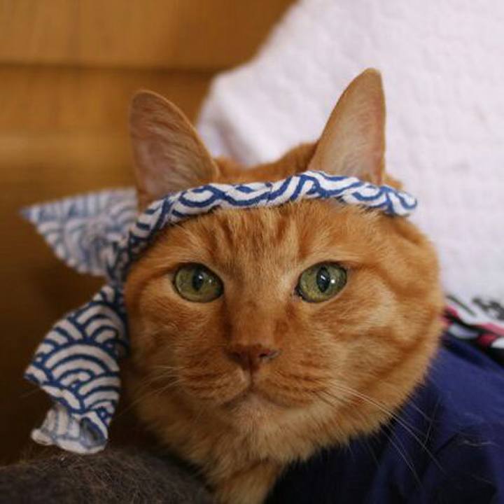 8fe9fdf0 c0d4 4169 96de bed5dec2c36e