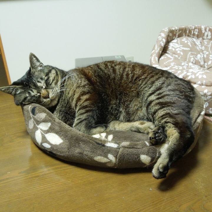 8fea10ff 0332 4161 9914 30ef8a2b7d7a