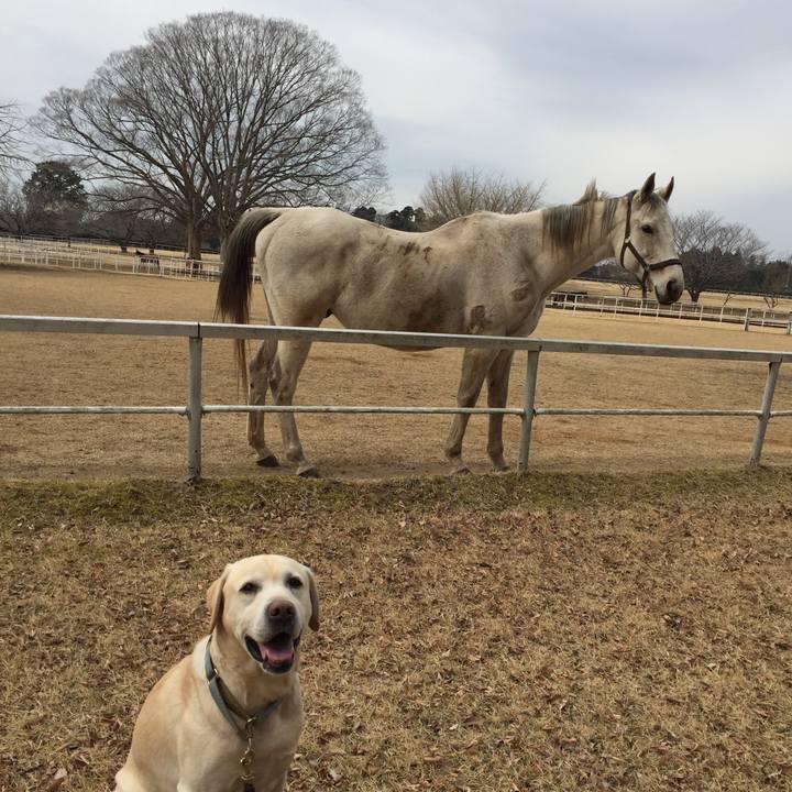 8fea7263 7641 458c bda7 5819b76c17bb