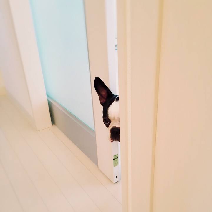 8feb9000 00ad 4104 8795 ecbf0d2adf4b